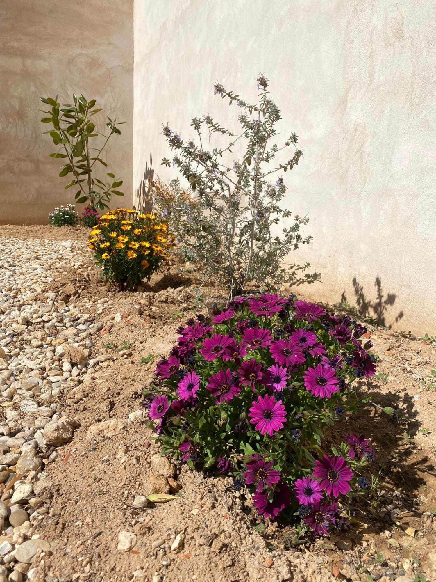 La Mancha Suites Casa Rural Pedro Munoz ภายนอก รูปภาพ